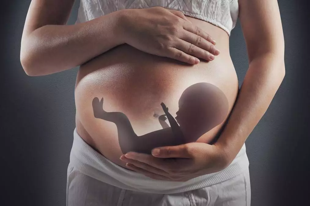 nasciturus fiction - rights of the unborn child